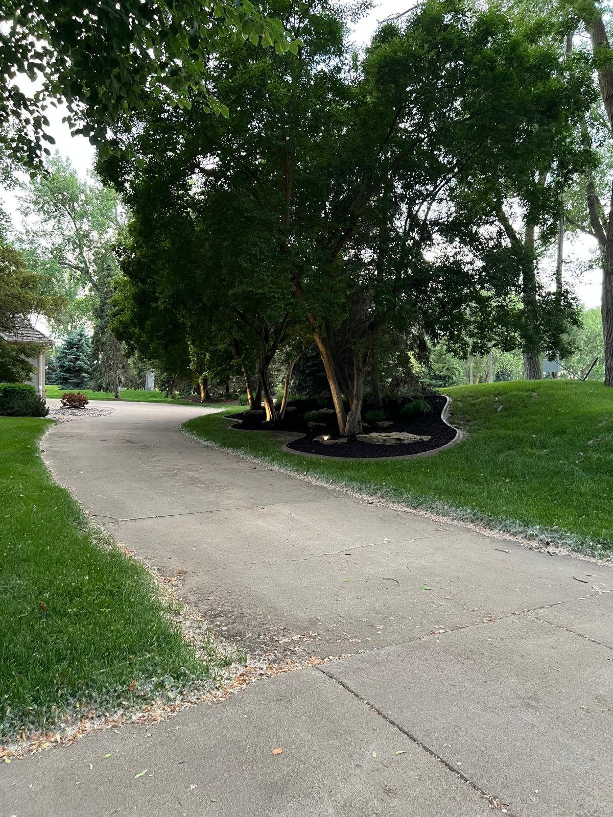 Yard cleanup work by Brother's Landscaping